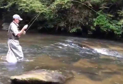 Soque River Fly-Fishing